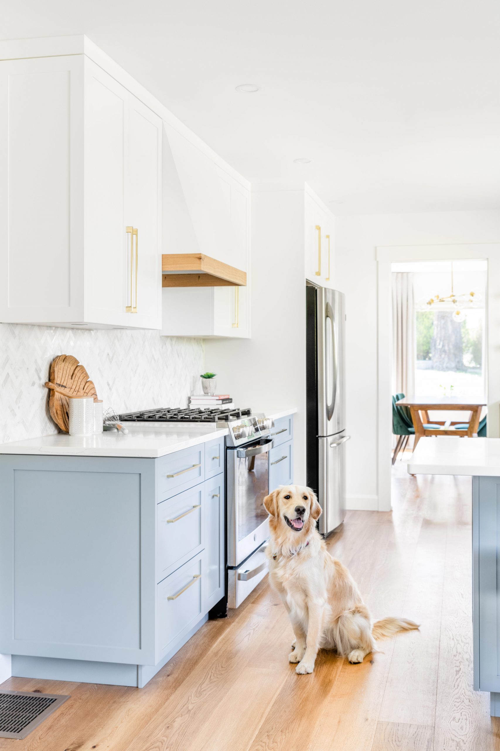Cabico Custom Cabinets - Projet cuisine Royal Oak - vue d'ensemble avec chien