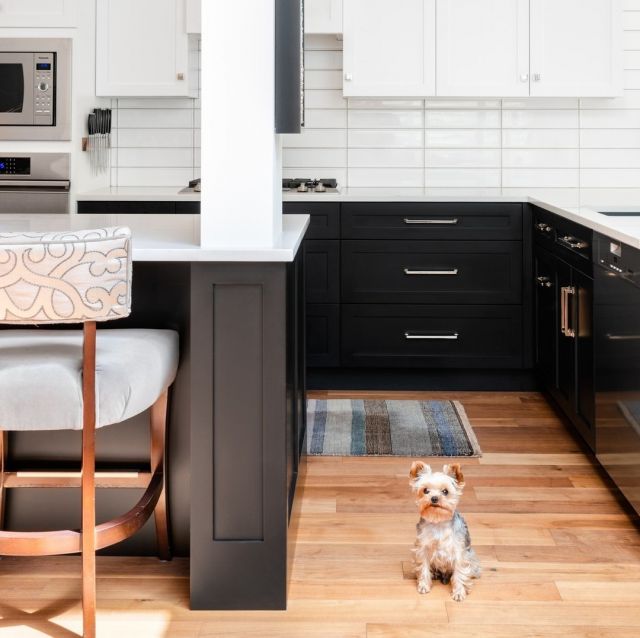 Round-of-a-PAWS for these kitchen designs 🐾👏

Happy National Dog Day!

All designs (and pets) from @thomasandbirchboutique.
Photography by @dashaaphotos.

#NationalDogDay #DogDay #Dogs #DogLover #PetLover #Pets #InteriorDesign #PetDesign #KitchenDesign #Cabico #HelloCabico #CustomCabinetry #CustomCabinets